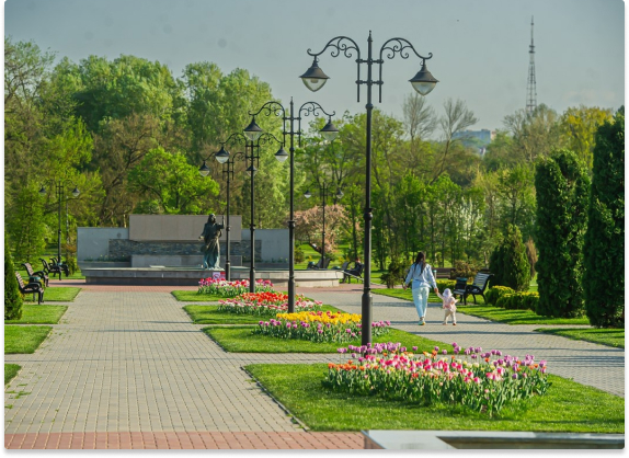 Buiucani district